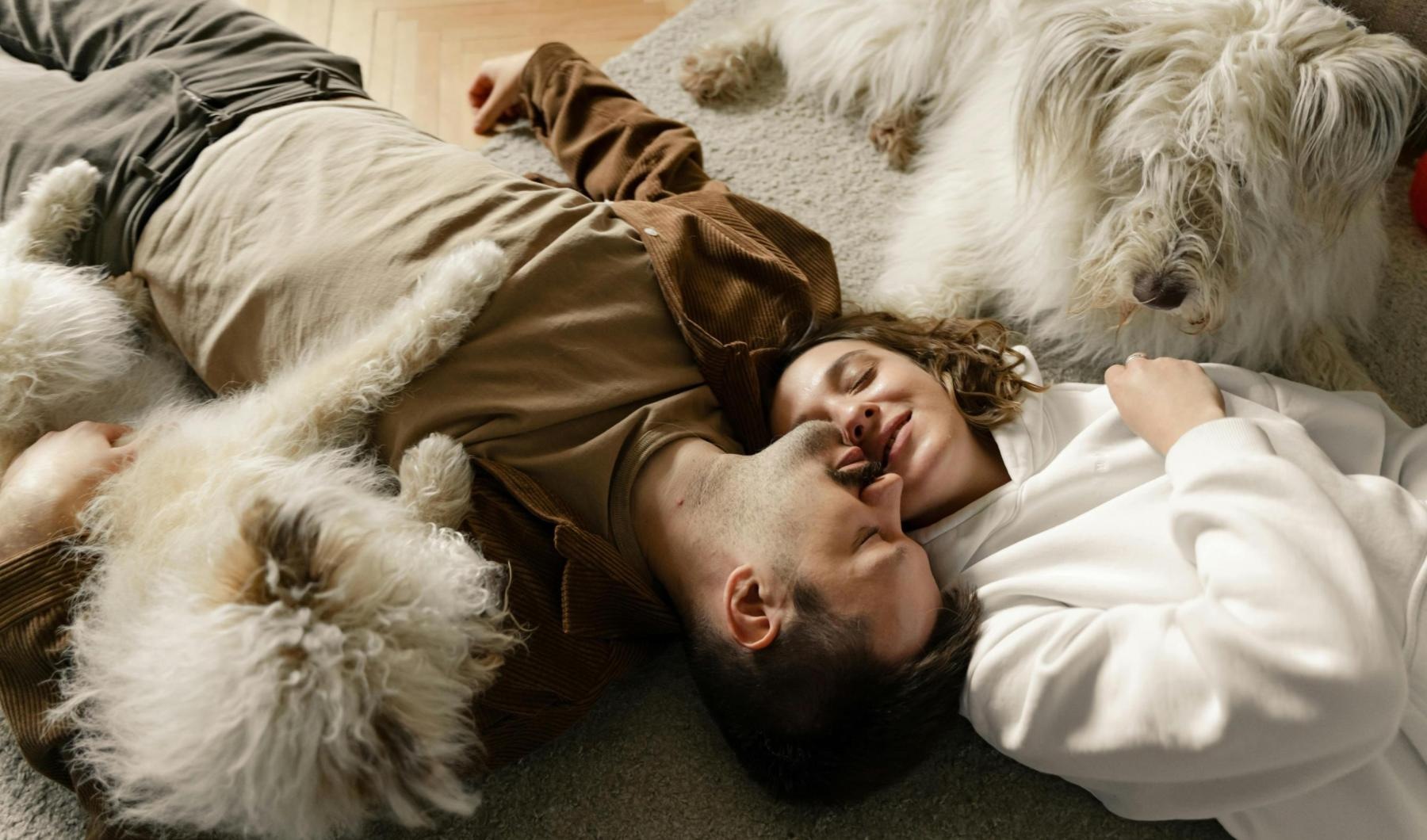 a couple laying with their pets