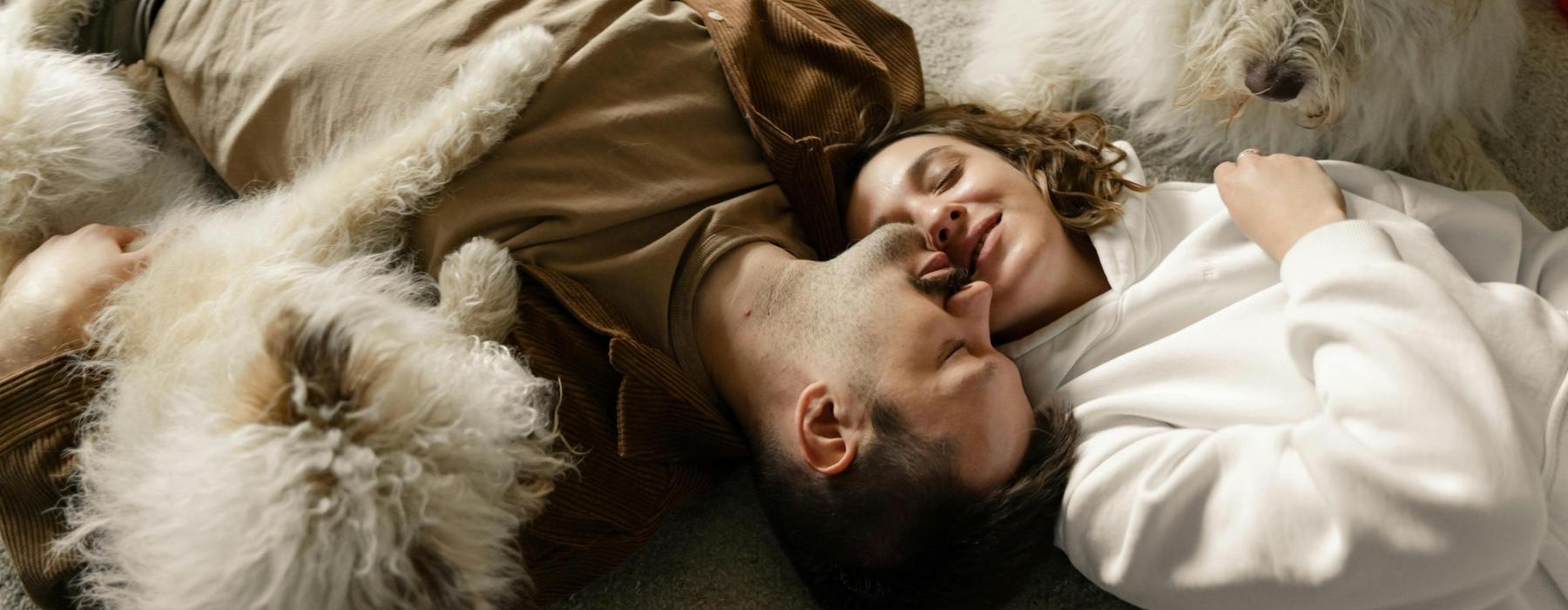 a couple laying with their pets